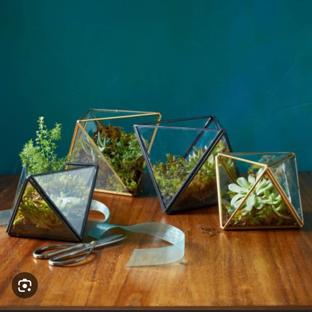 West Elm Faceted Terrarium Decorative Object
